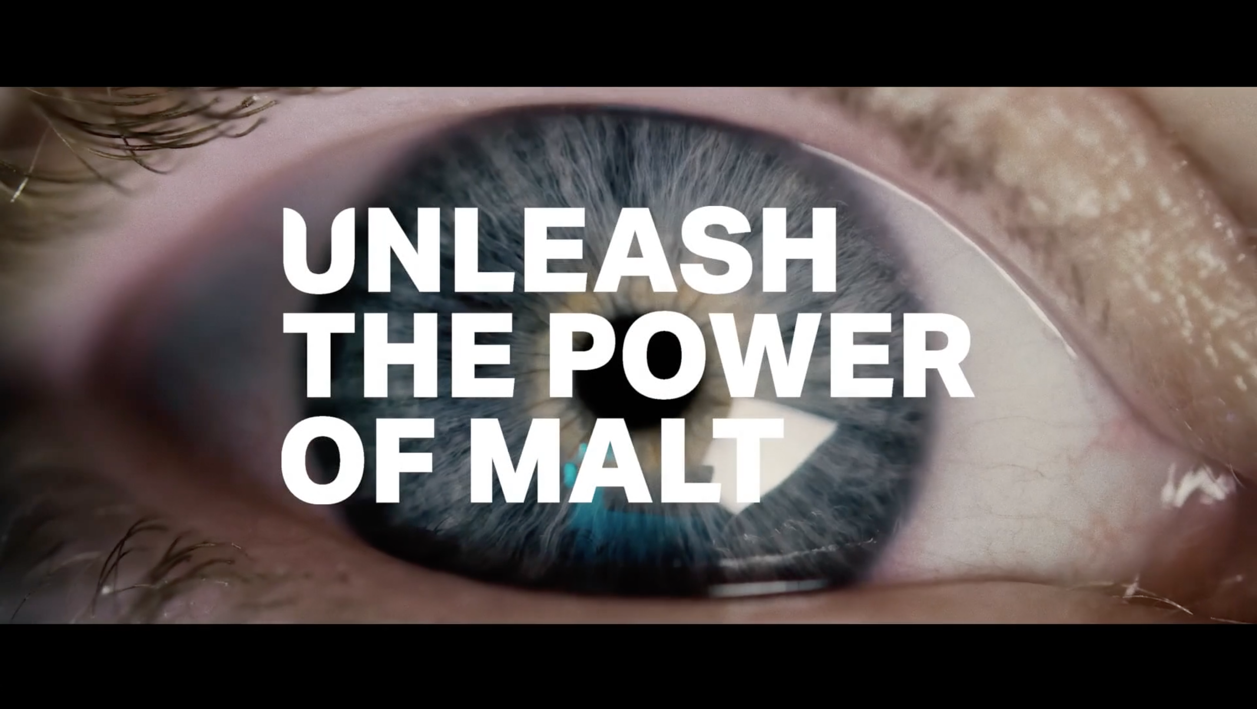 DIRECTION ARTISTIQUE / Soufflet-Malt_ UNLEASH THE POWER OF MALT