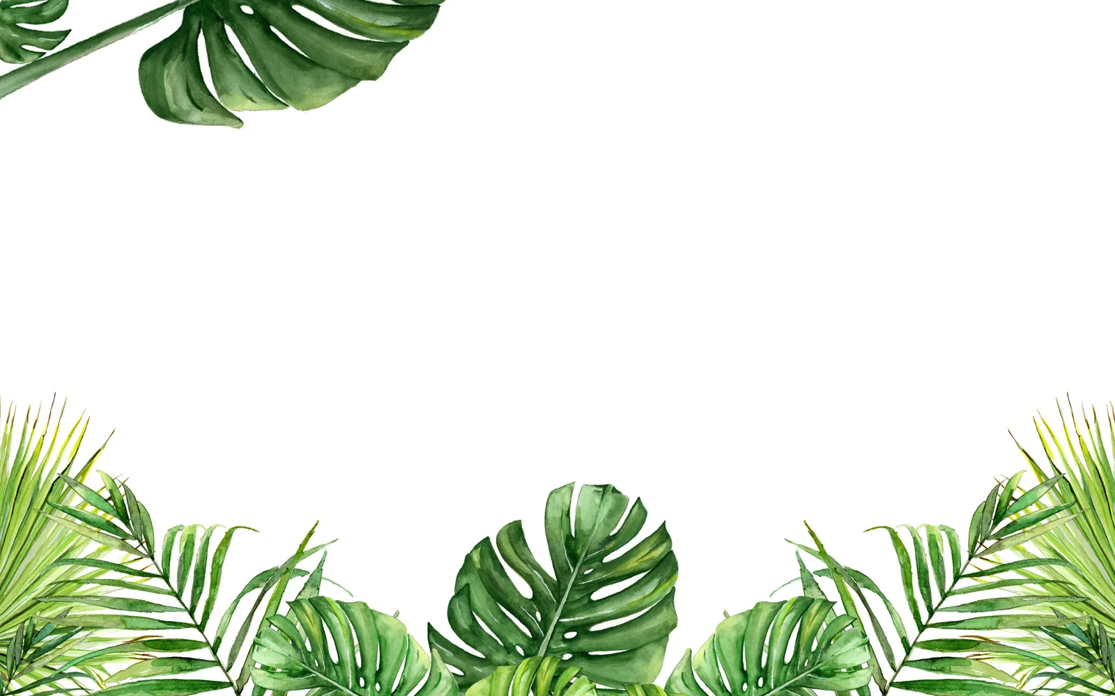 palms 3.jpg