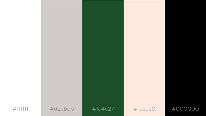 cfe8f7-e4fcfd-fdfbf9-dcfaed-e1e3fb.png