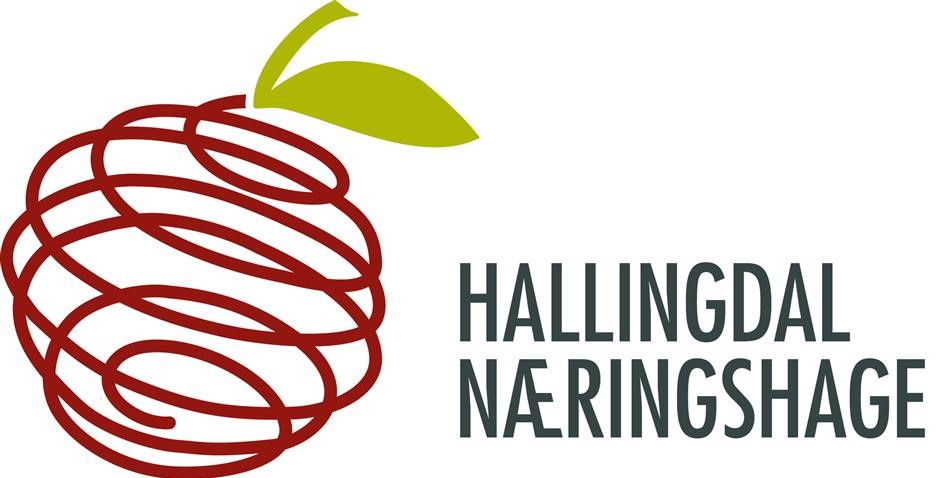 Hallingdal Næringshage.jpg