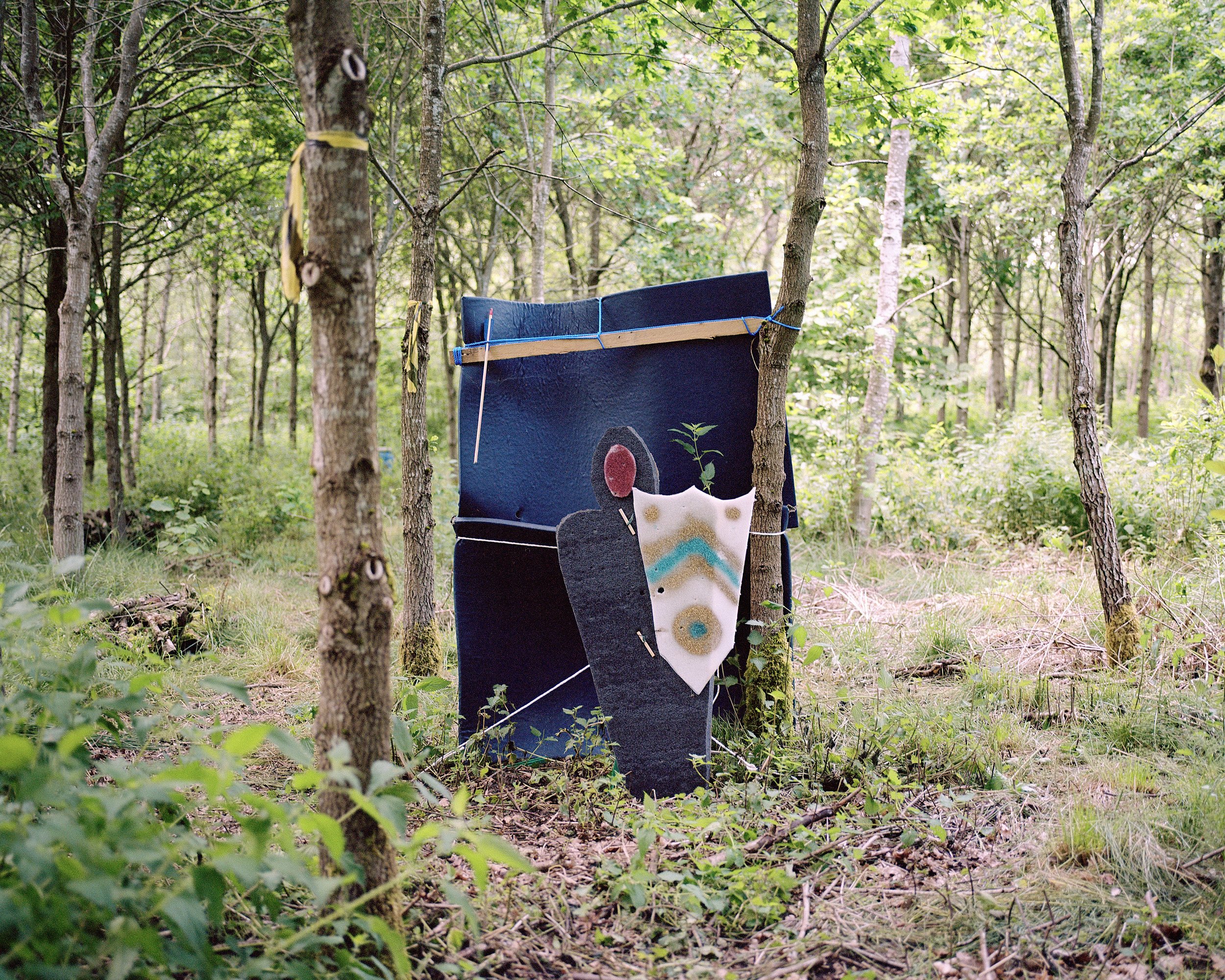   Personal  / In Fields of Albion  Woodland Target, Ashby De La Zouch  