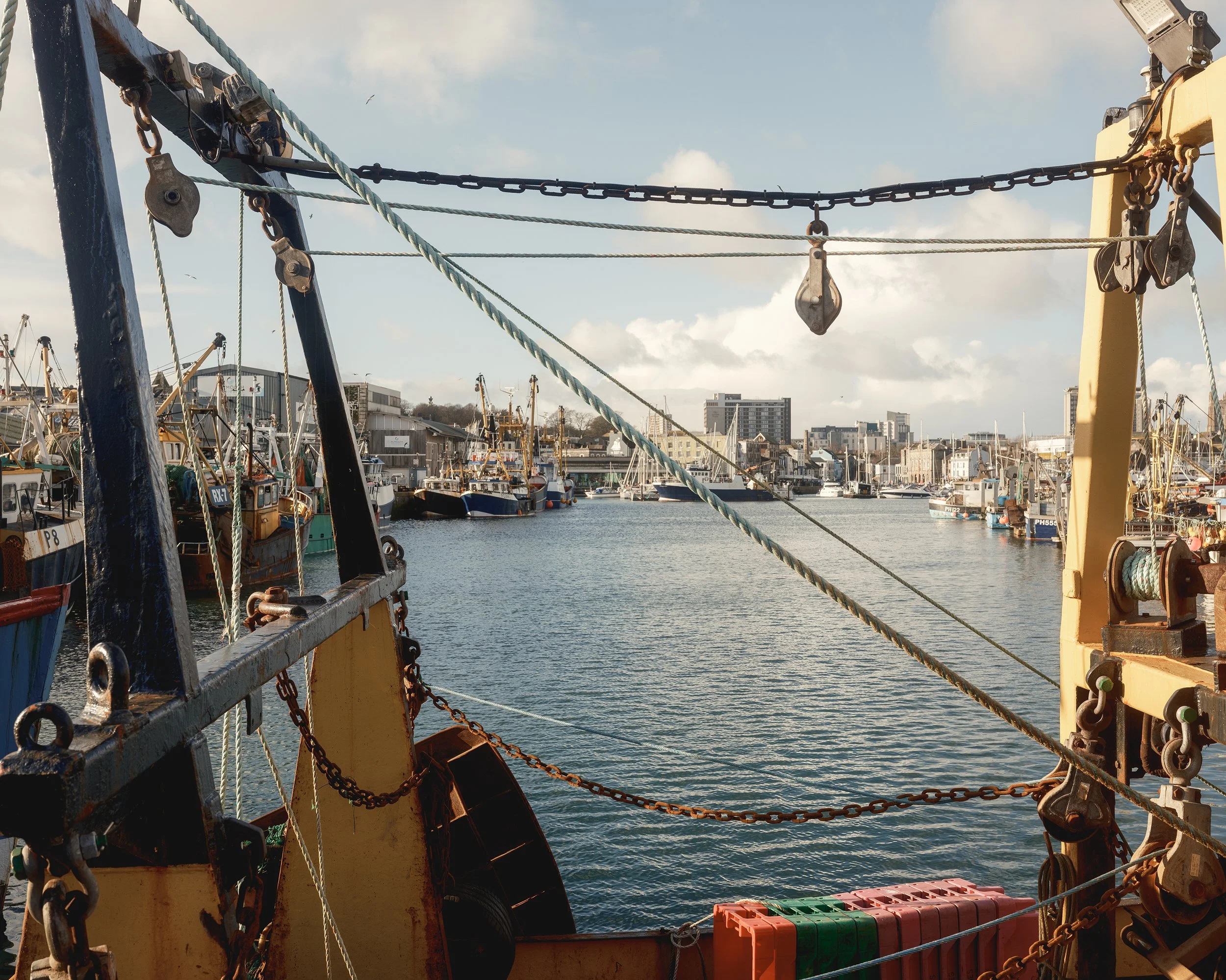 Fish Quay, Meor x Plymouth Fish & Seafood Association   
2026