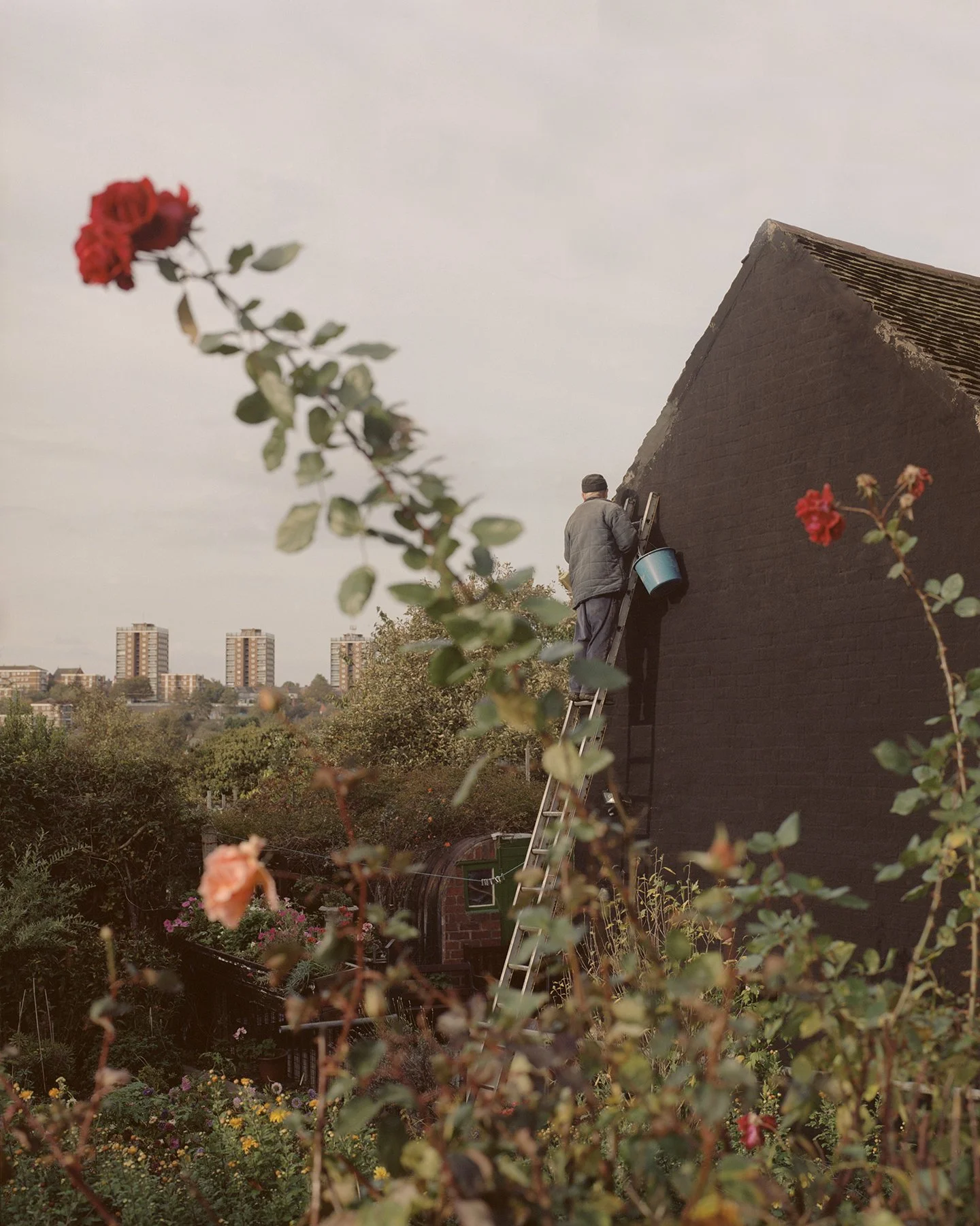 Black Country - Work In Progress