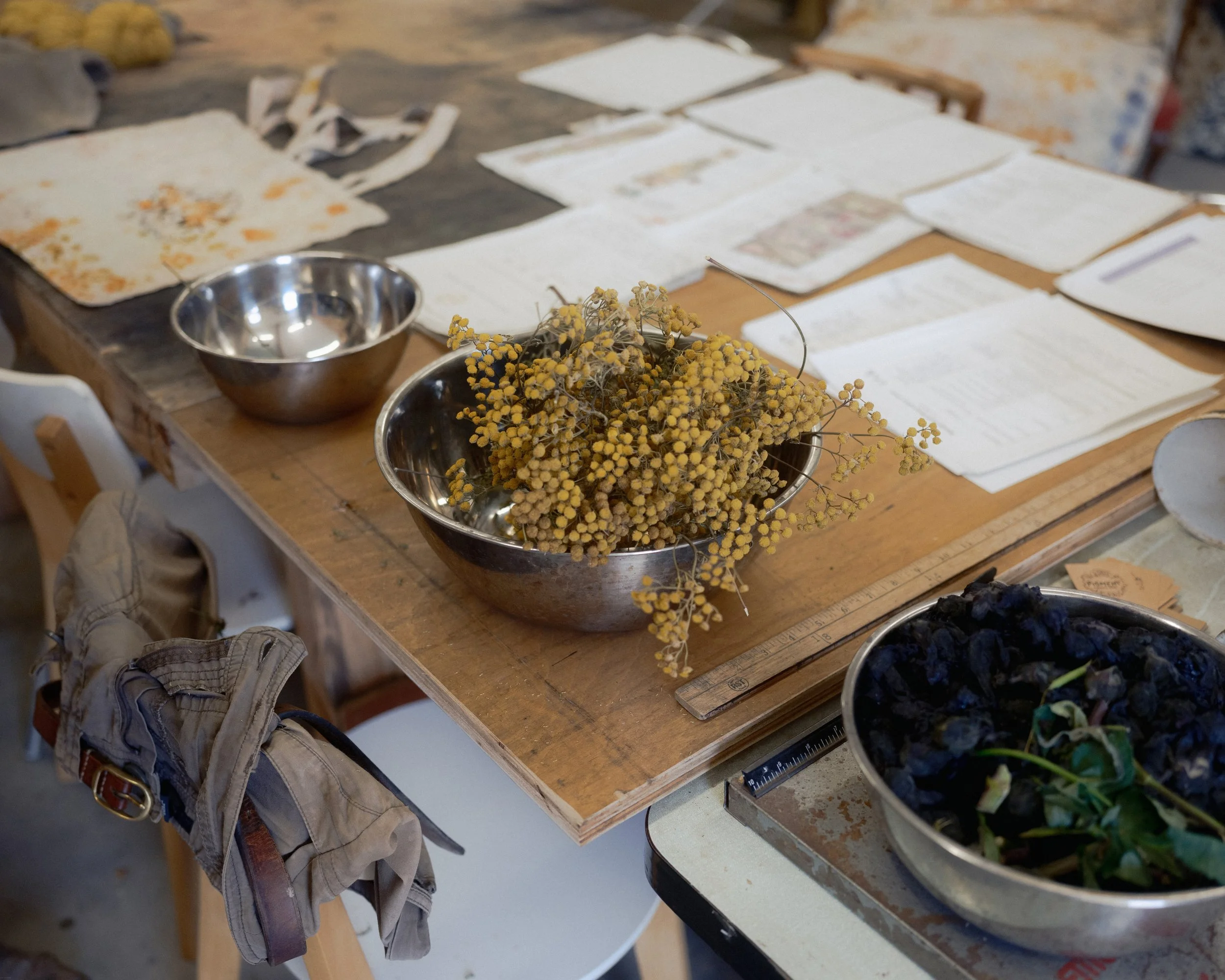 Pigment Organic Dyes, Baddaford Farm x The Patch   2026
