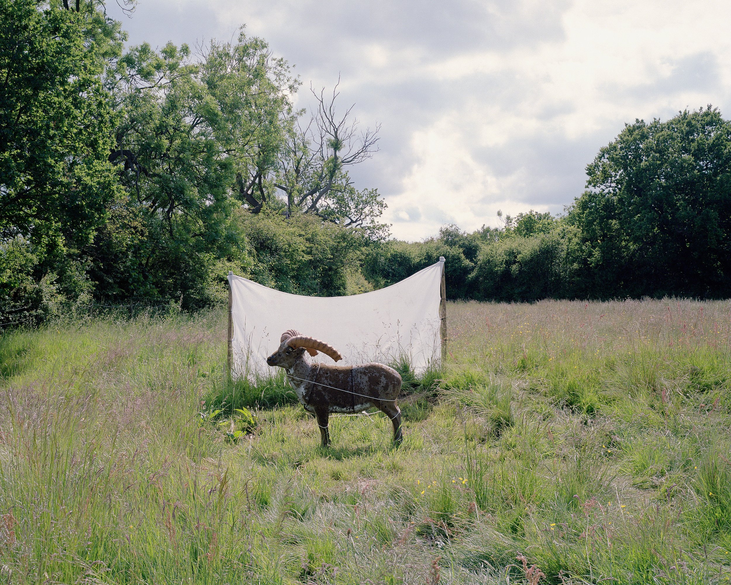 In Fields of Albion - Personal