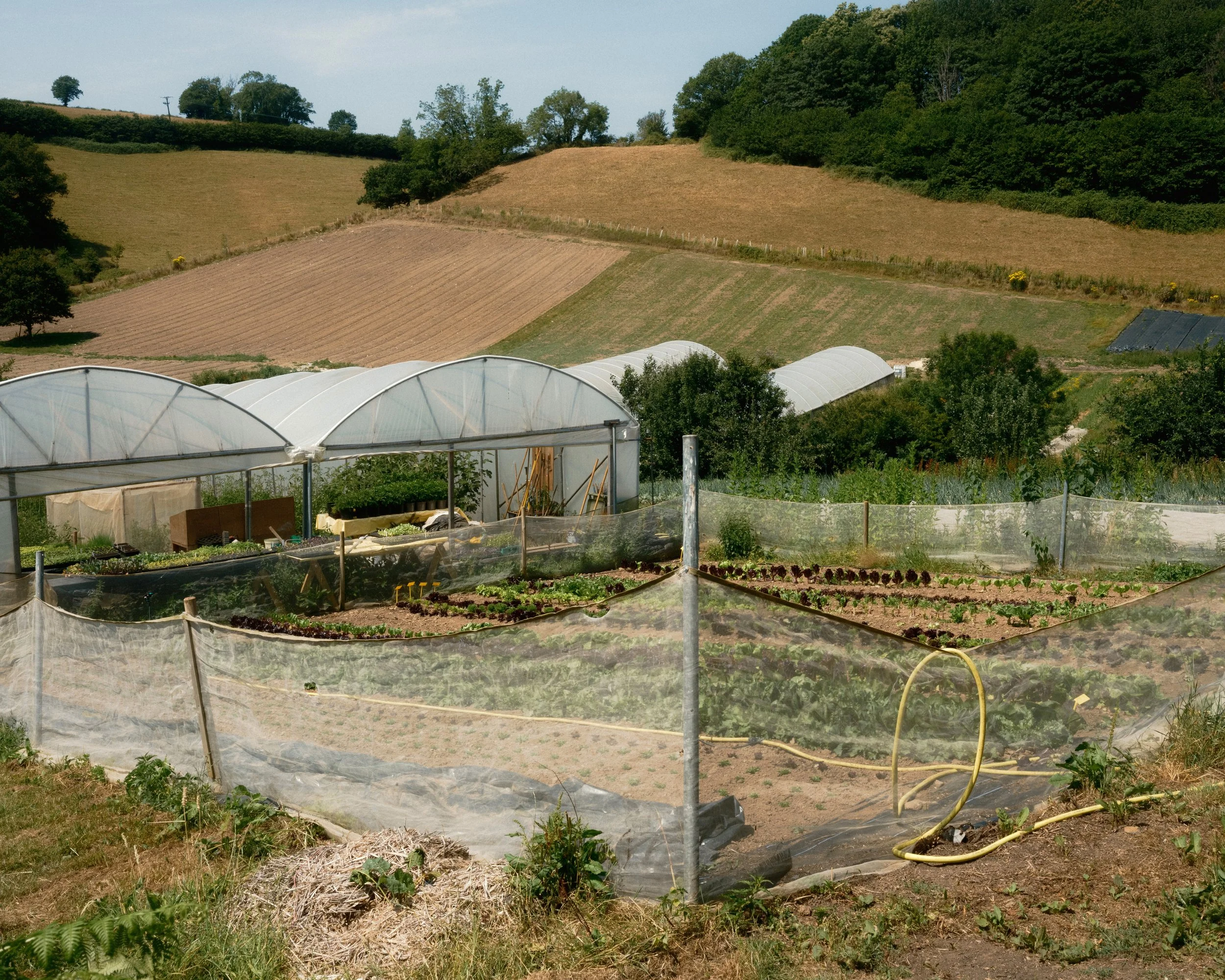 Baddaford Farm x The Patch   2026
