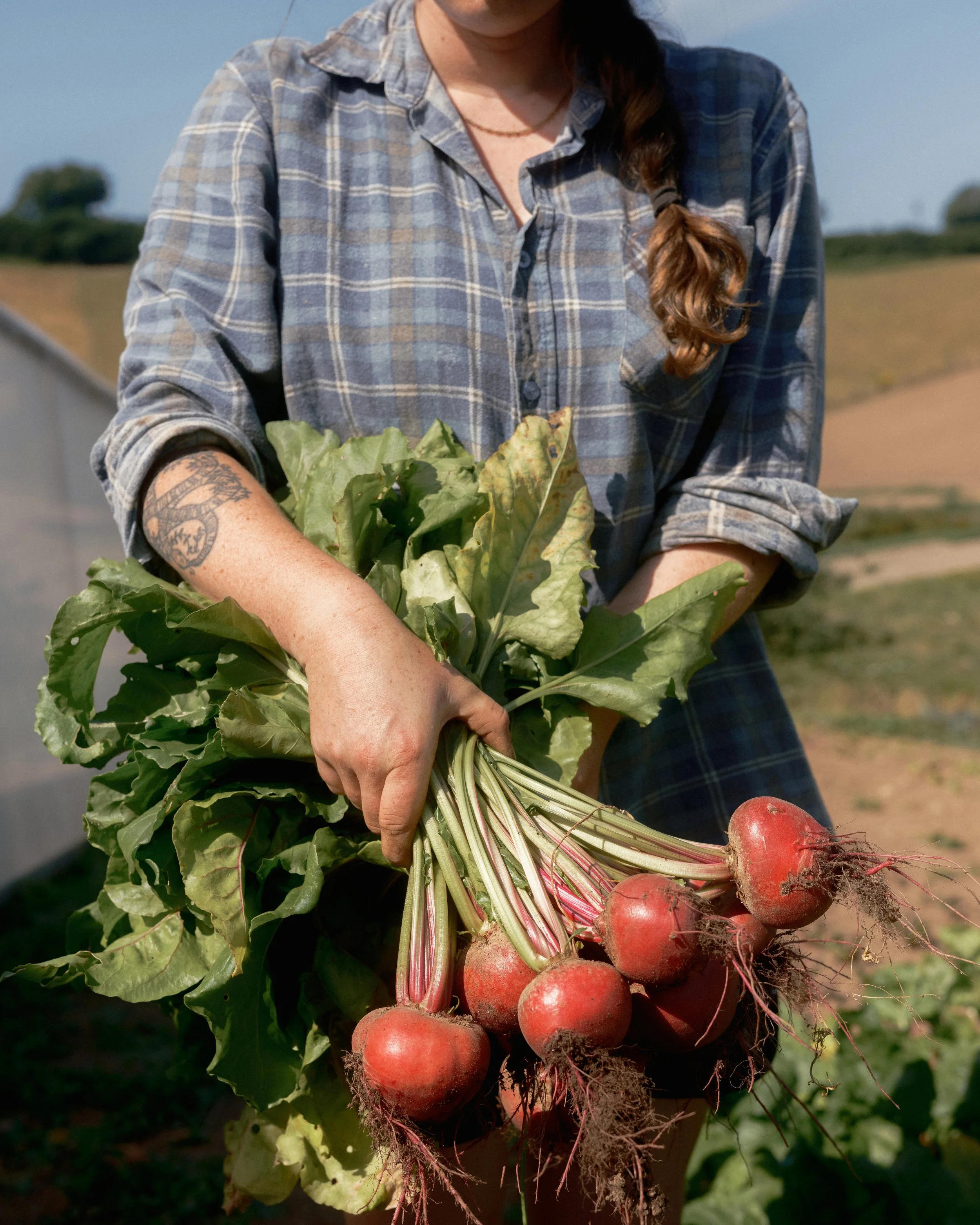 Green Ginger Organics, Baddaford Farm x The Patch   2026