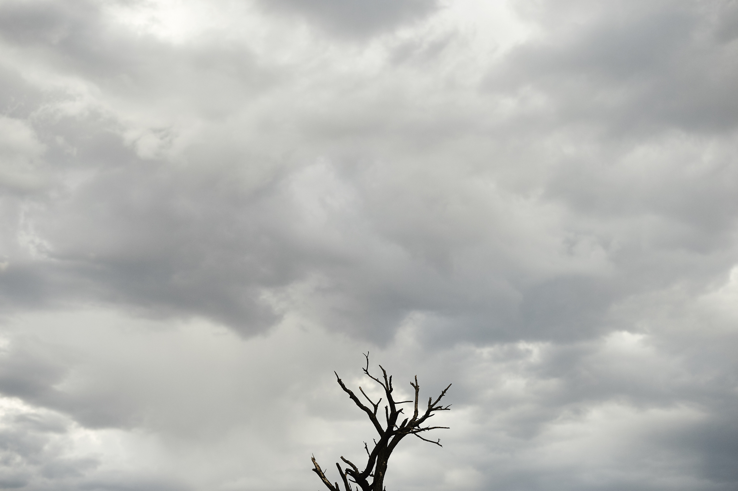 2015-02-15-namibia-0127.jpg
