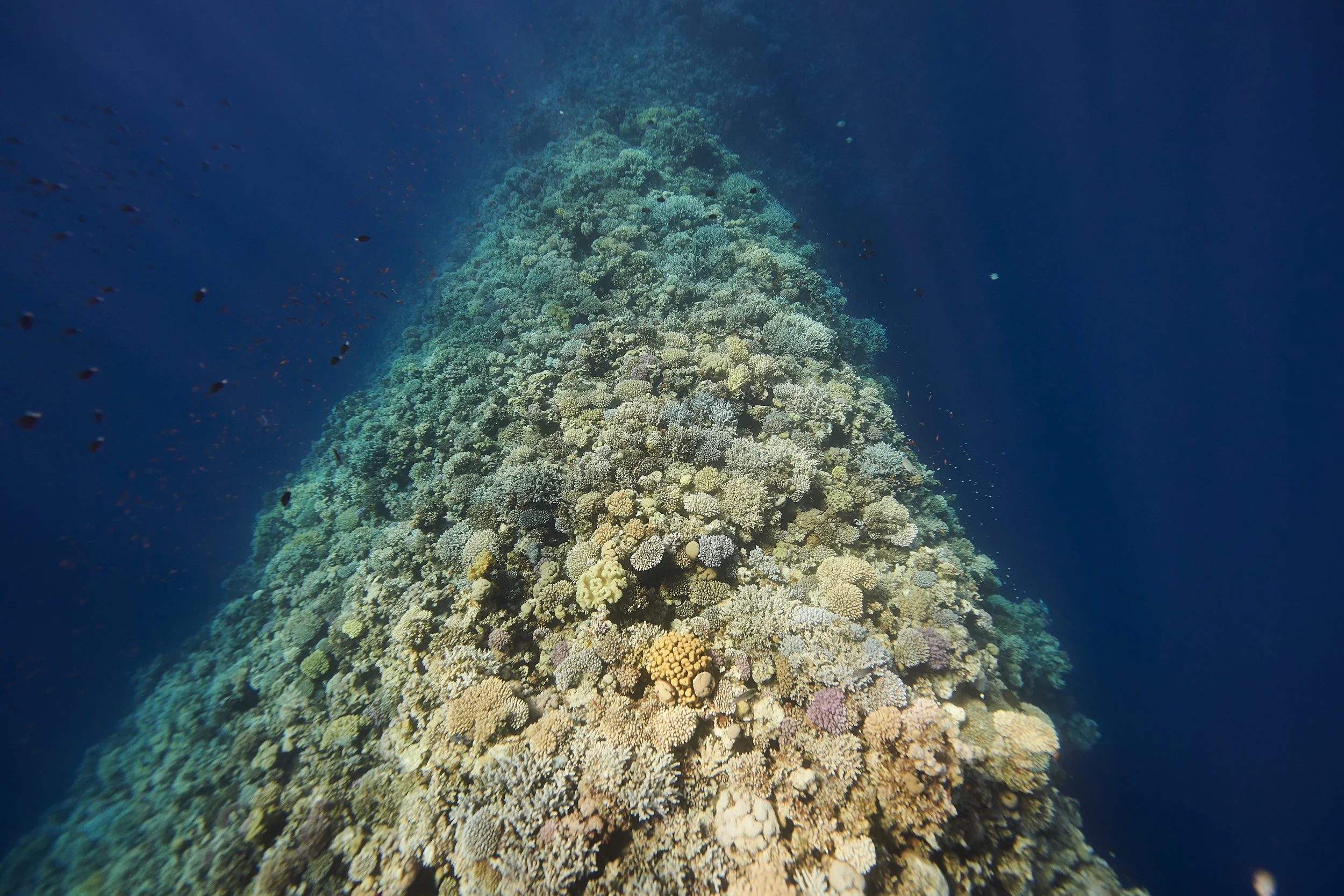 2018-10-25-sharm-0511.jpg