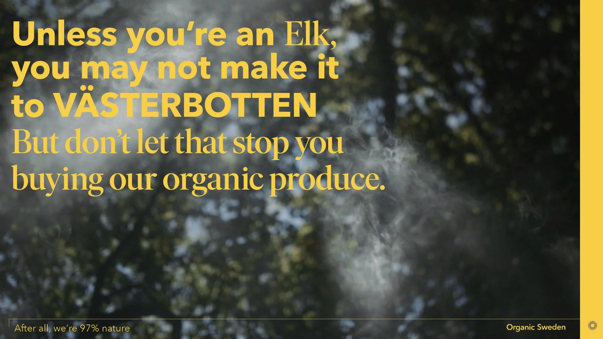 ORG_Swe_PitchDeck TV copy.002.jpeg