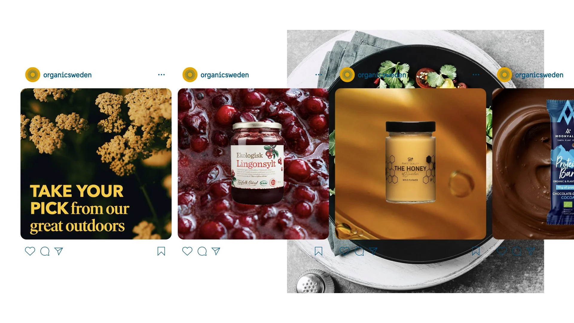 ORG_Swe_PitchDeck TV copy.005.jpeg