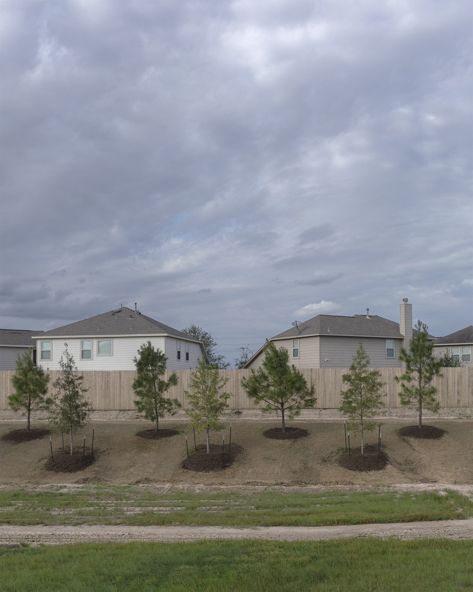 East of downtown Fulshear, with trees that are strategically plotted, the control that nature once had over the Texas prairie is now overwhelmed with a suburban landscape.