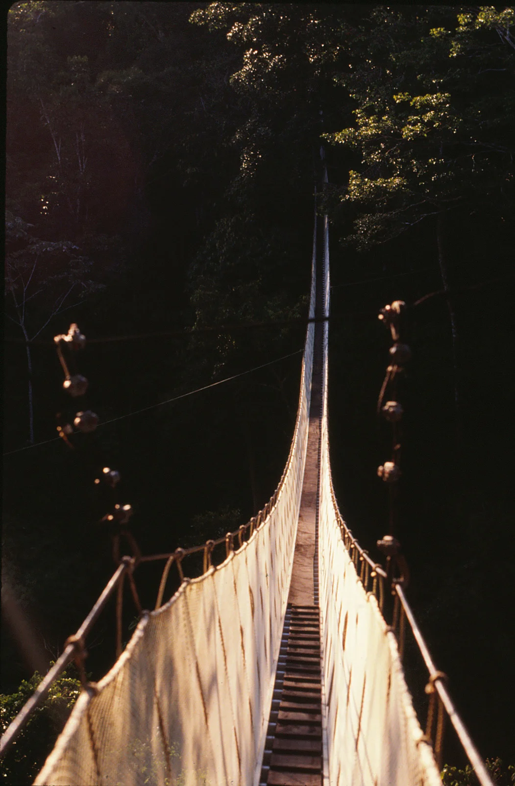 15 Aerial walkways.jpg