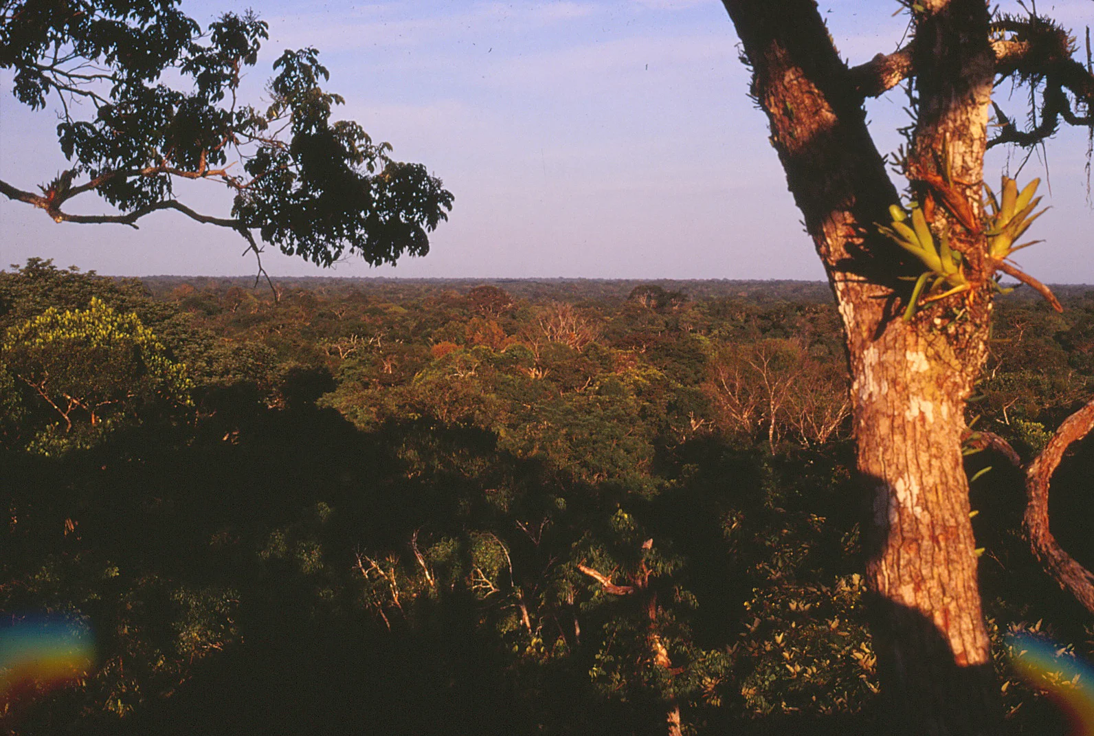 16 View from canopy.jpg