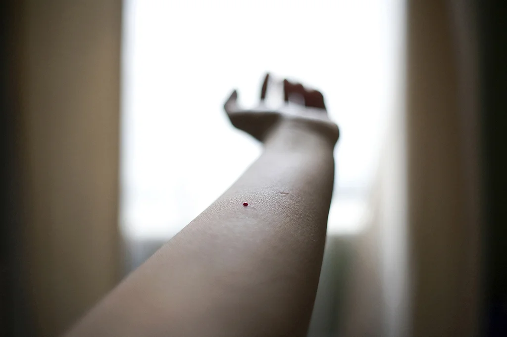 Ben arrives from Iraq