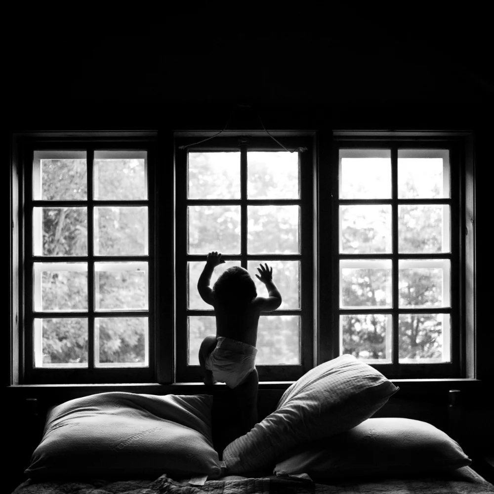 Mateo & Morning Warmth