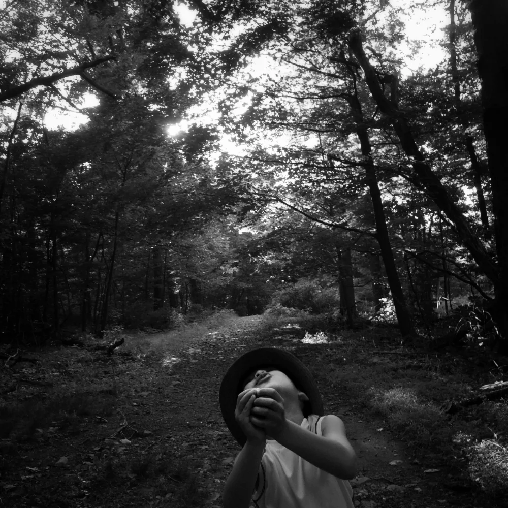 Mateo, Summer, Hikes