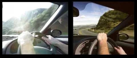 Polarised lenses significantly reduce sun glare 