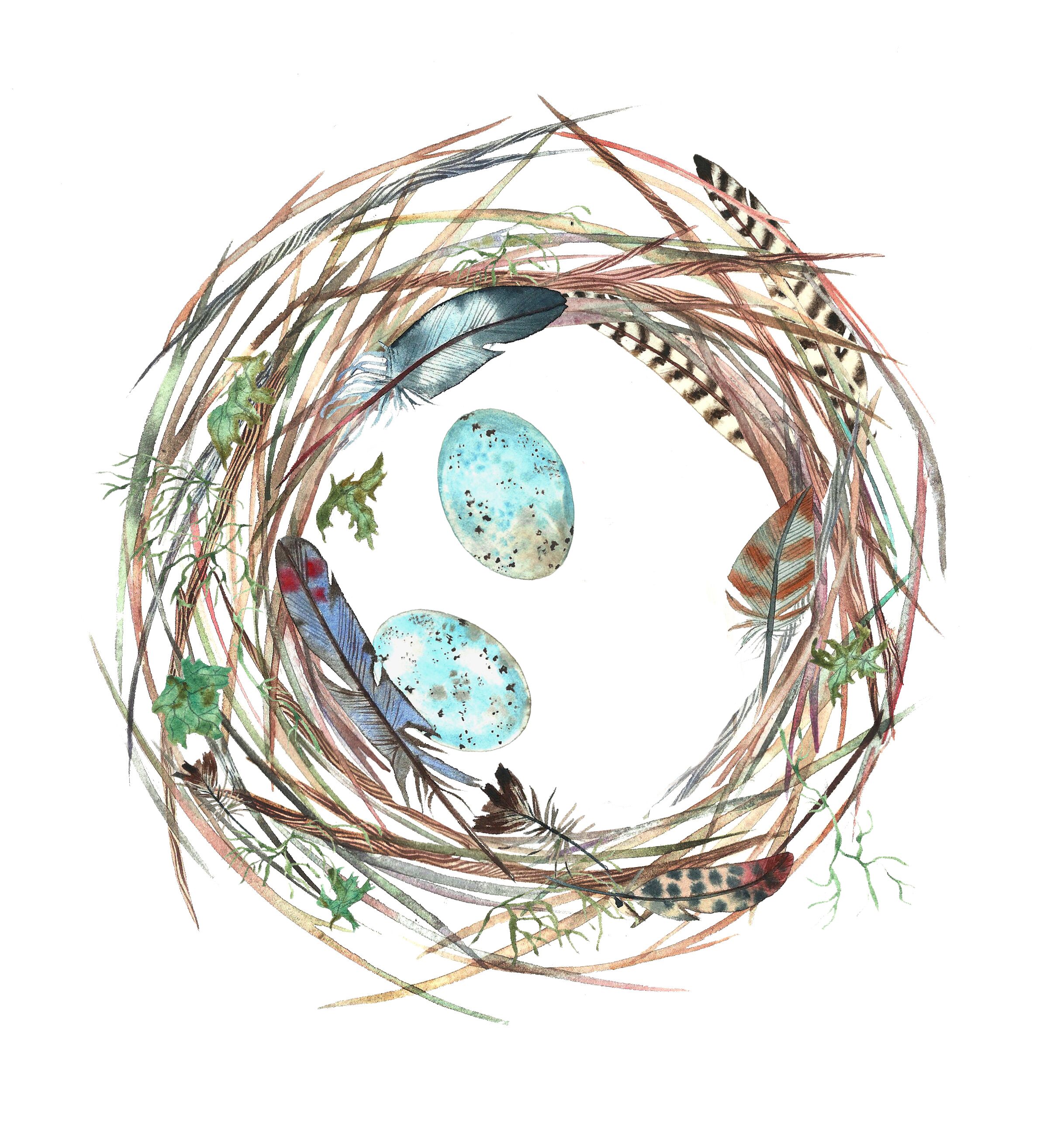 Illustration by Naomi Howarth
