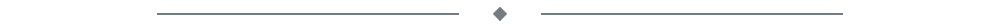 seperating bar-01.png