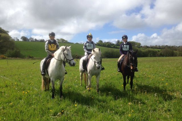 SCS equestrian.jpg