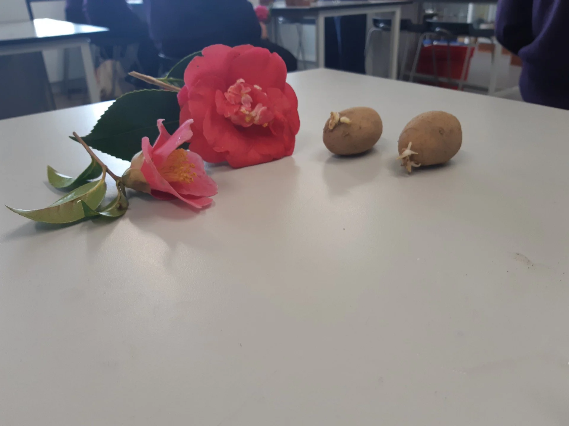 2026 LCA Horticulture 202.jpg