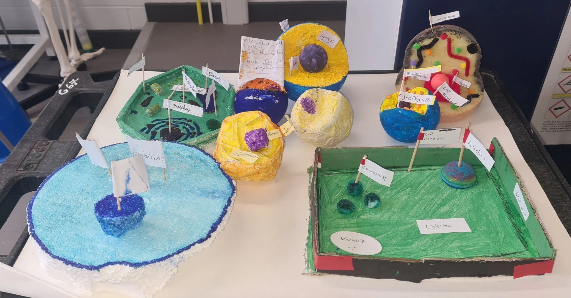 First Year Science 1st Year Science Class 1F
