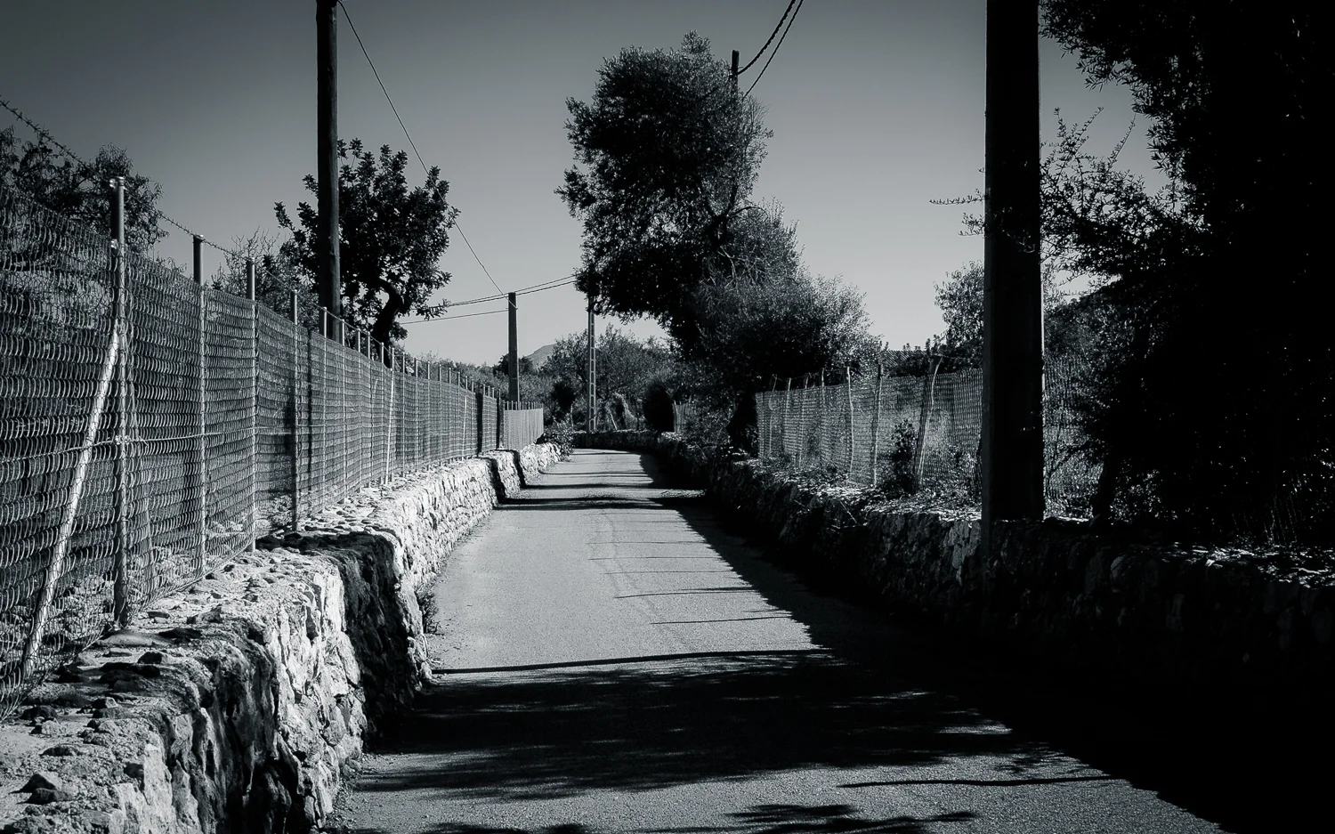 Majorca_B&W_12.jpg