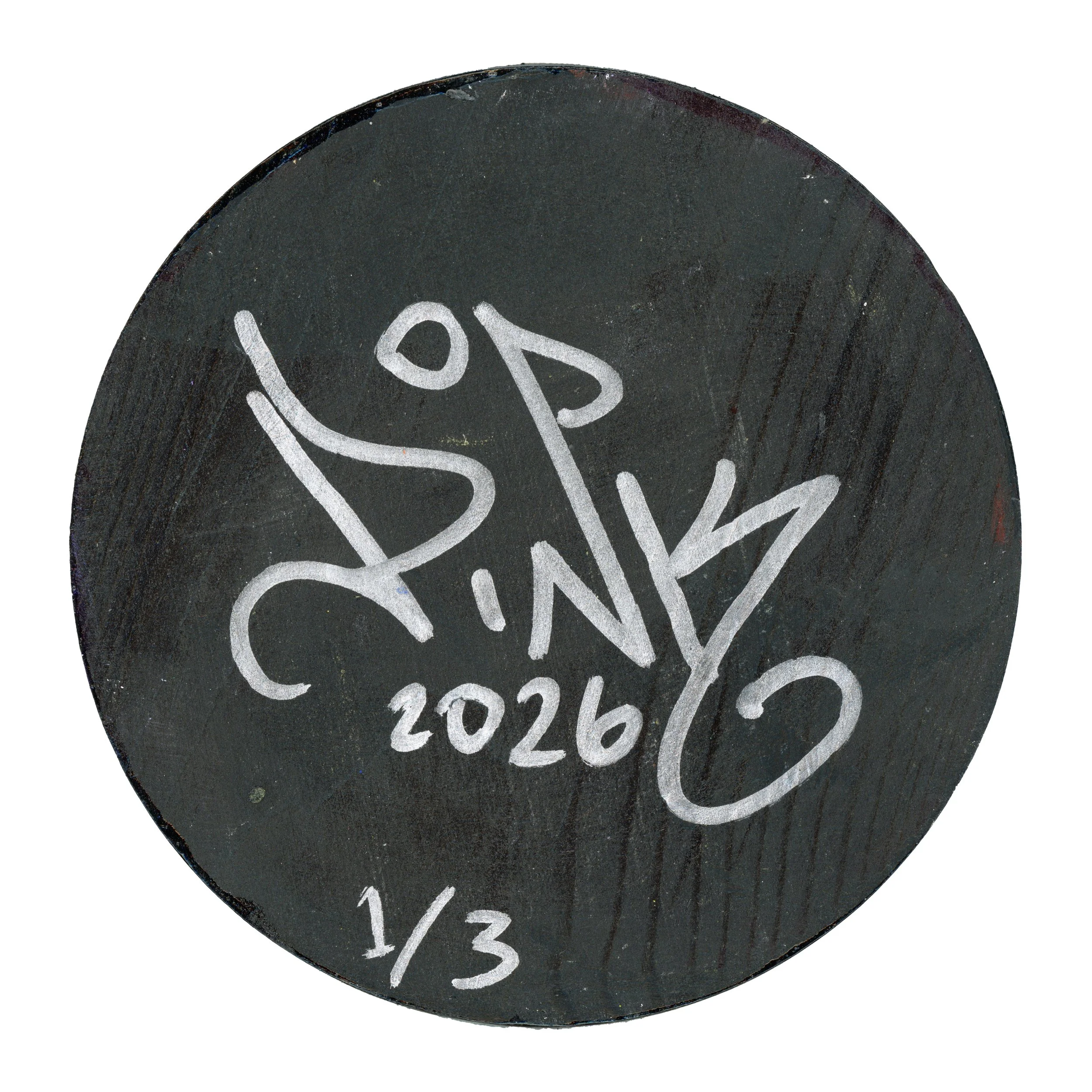 Back of circle coasyter 1:3.jpg