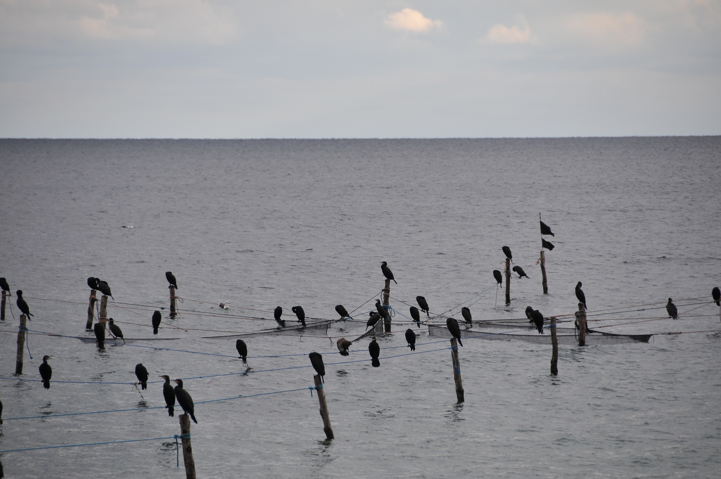 DSC_1328.jpg