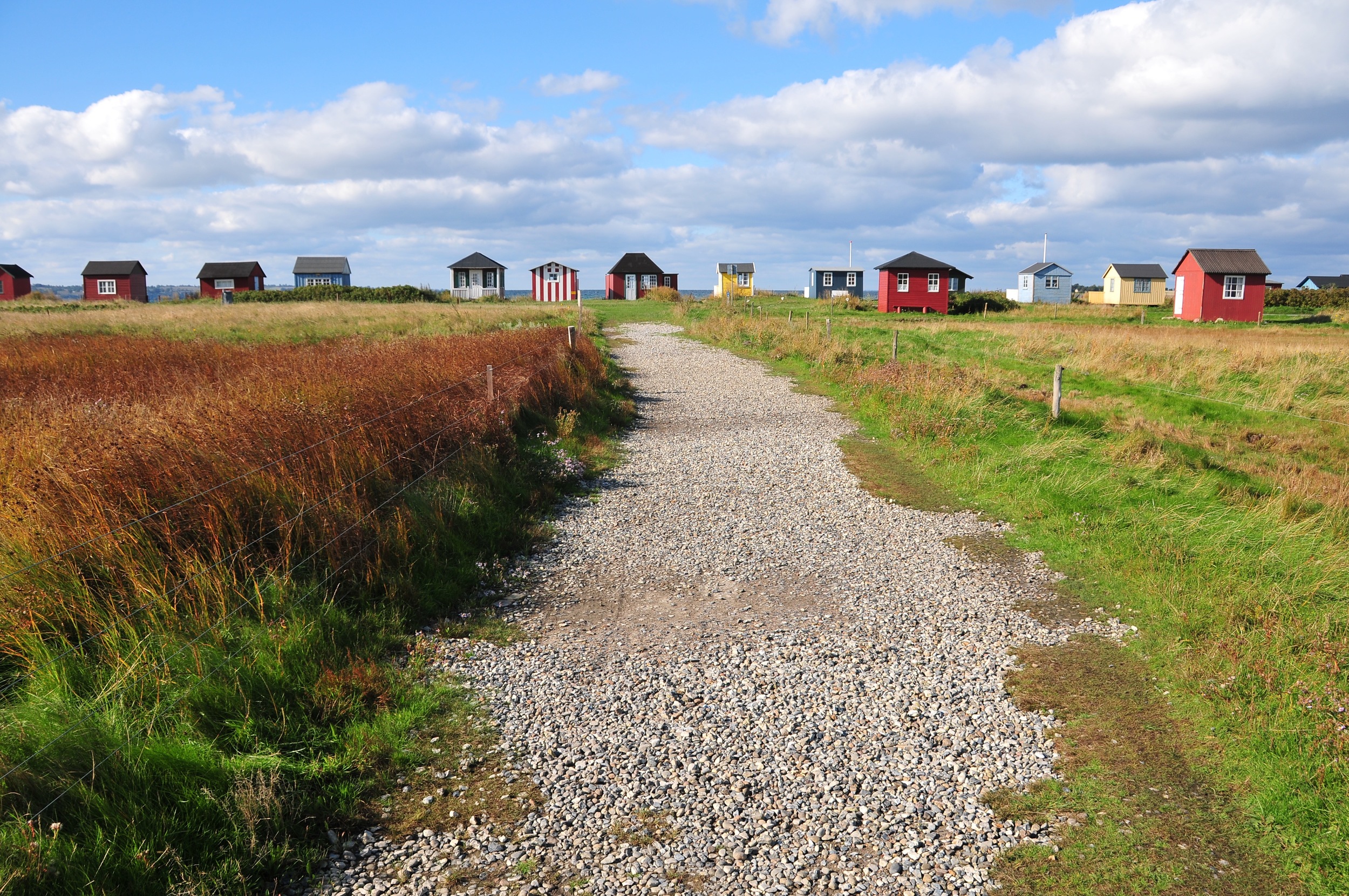 DSC_1239.jpg