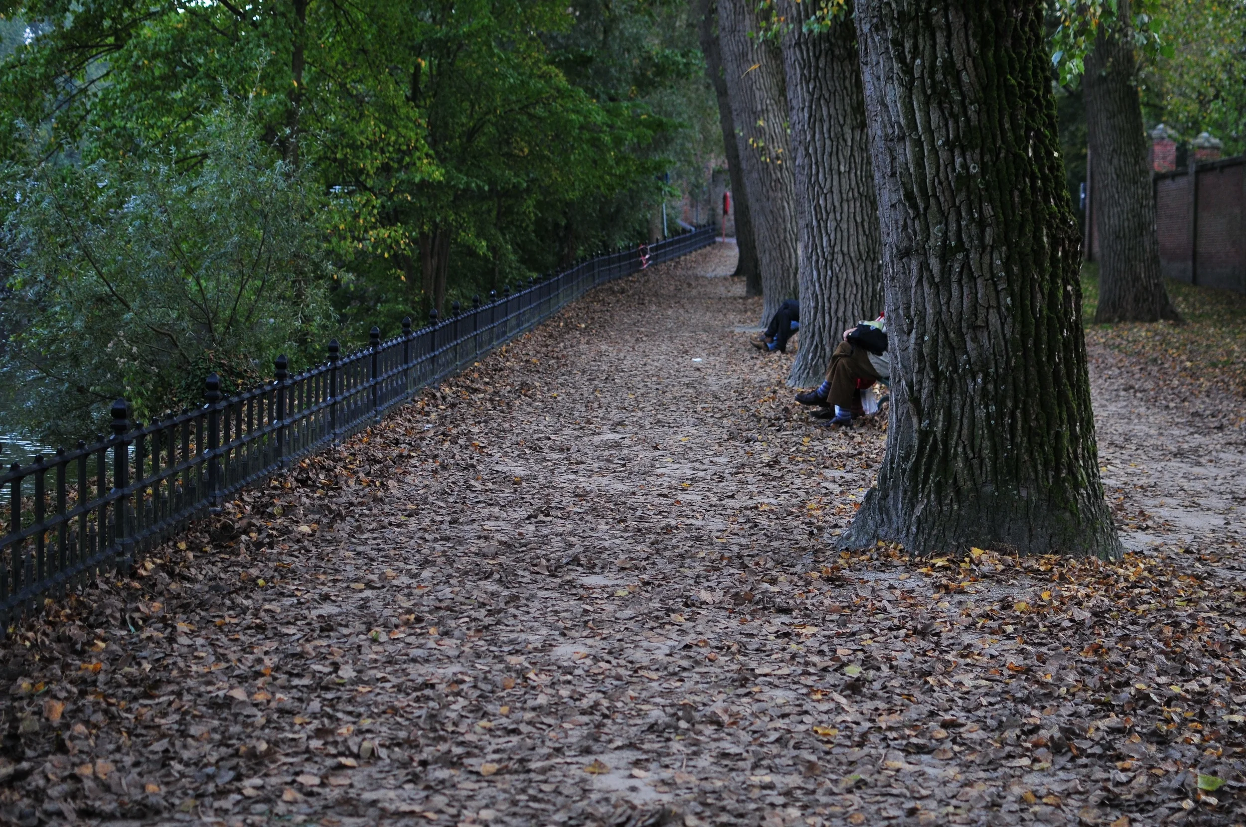 DSC_2336.jpg