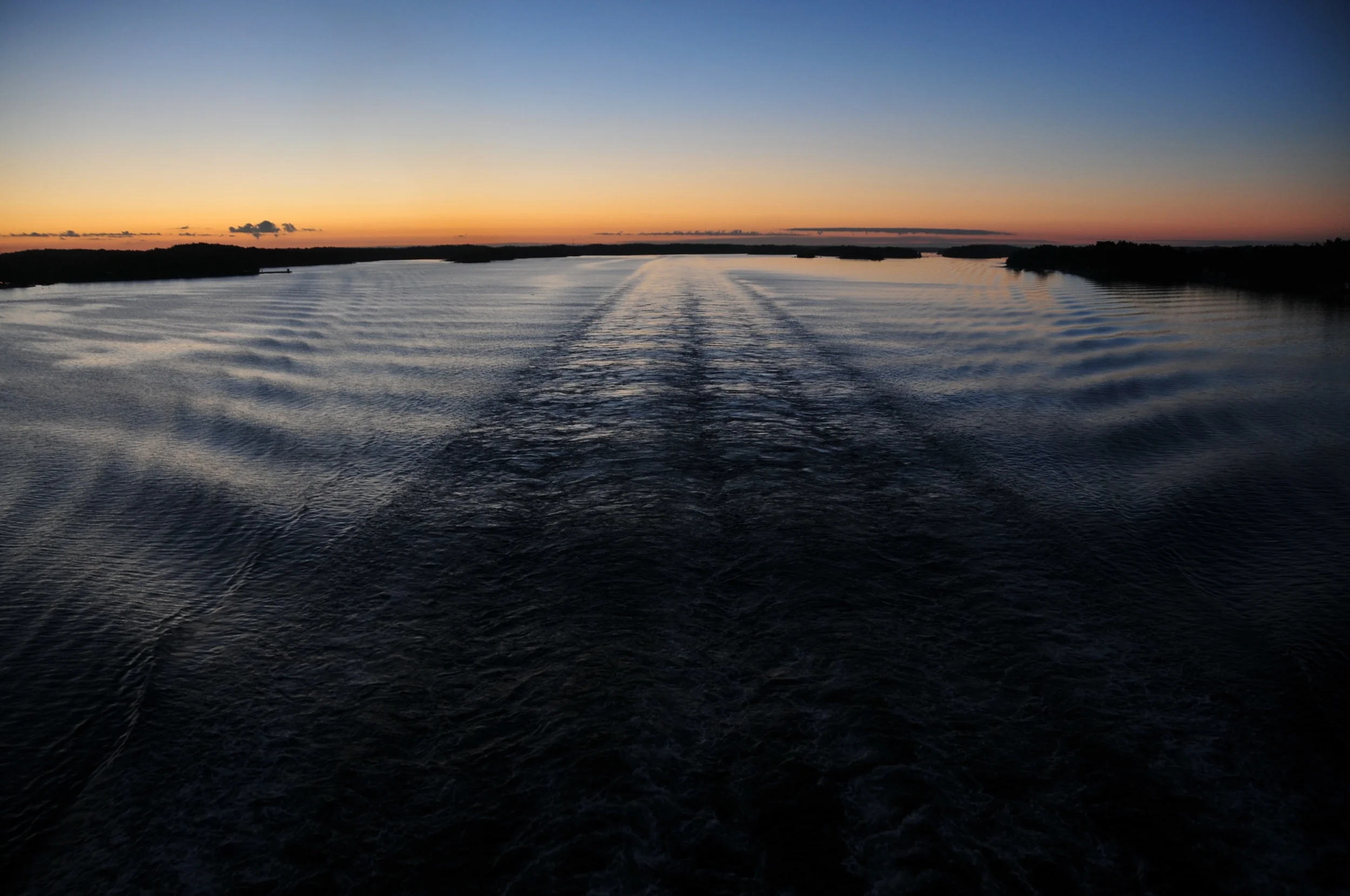 DSC_9504.jpg