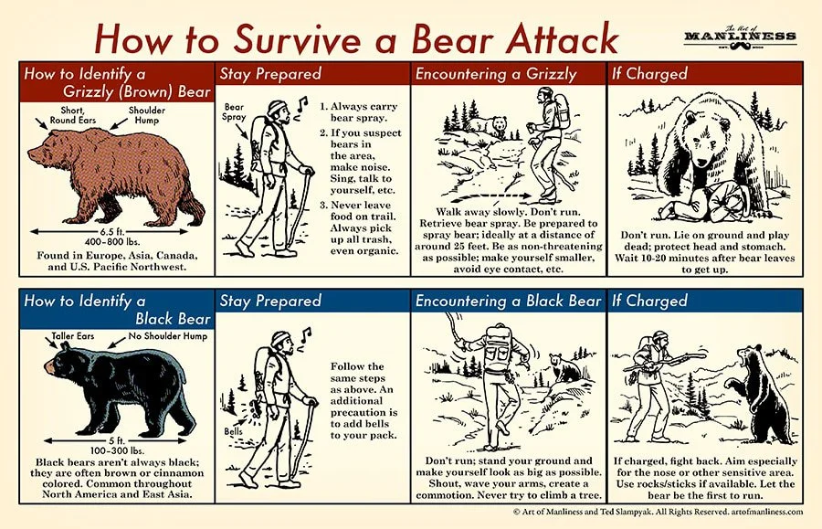 Thanks Art of Manliness for these helpful bear tips! www.artofmanliness.com
