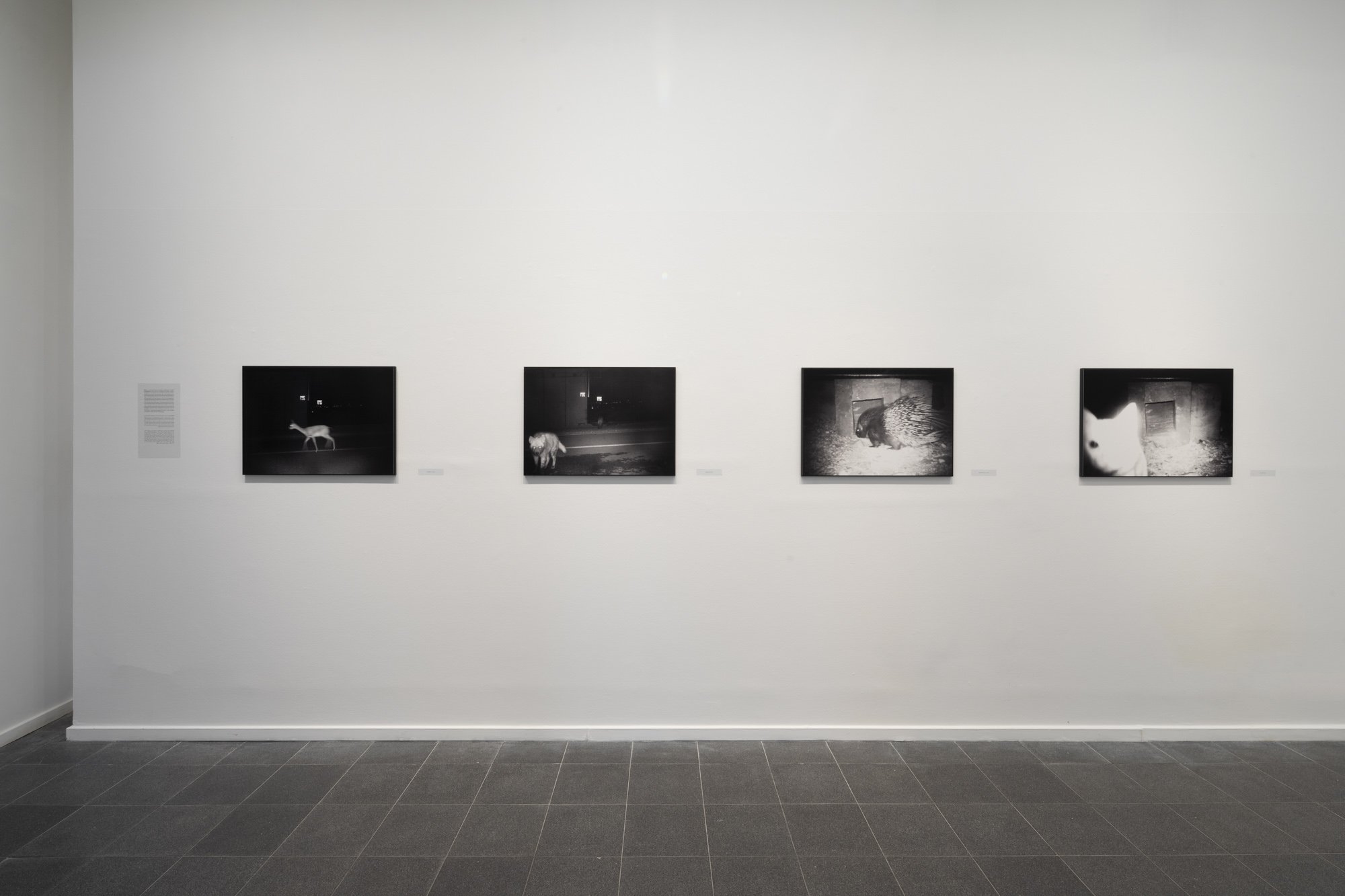 Photos: Tal Nisim / Inga Gallery
