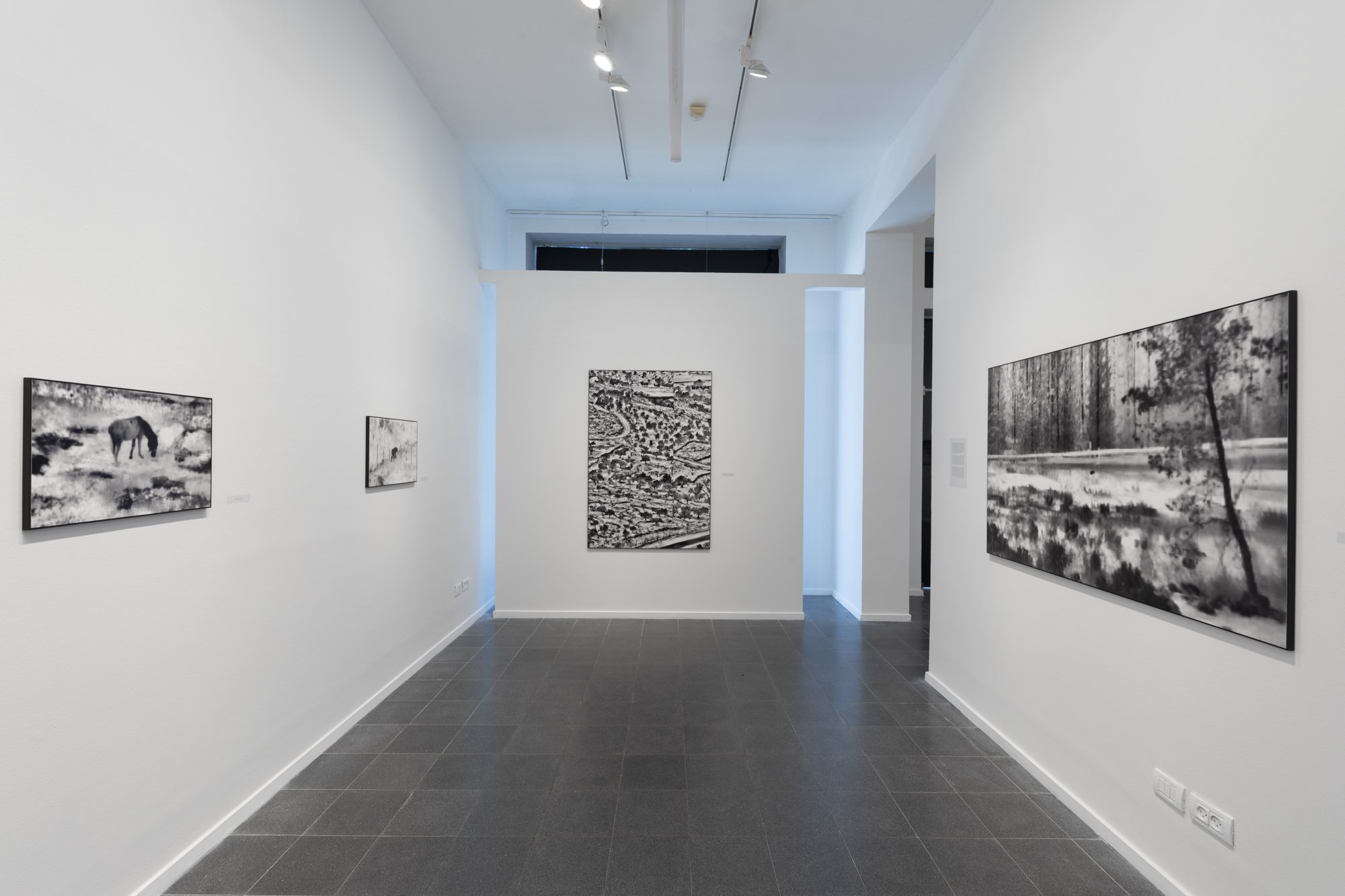  Photos:  Tal Nisim / Inga Gallery