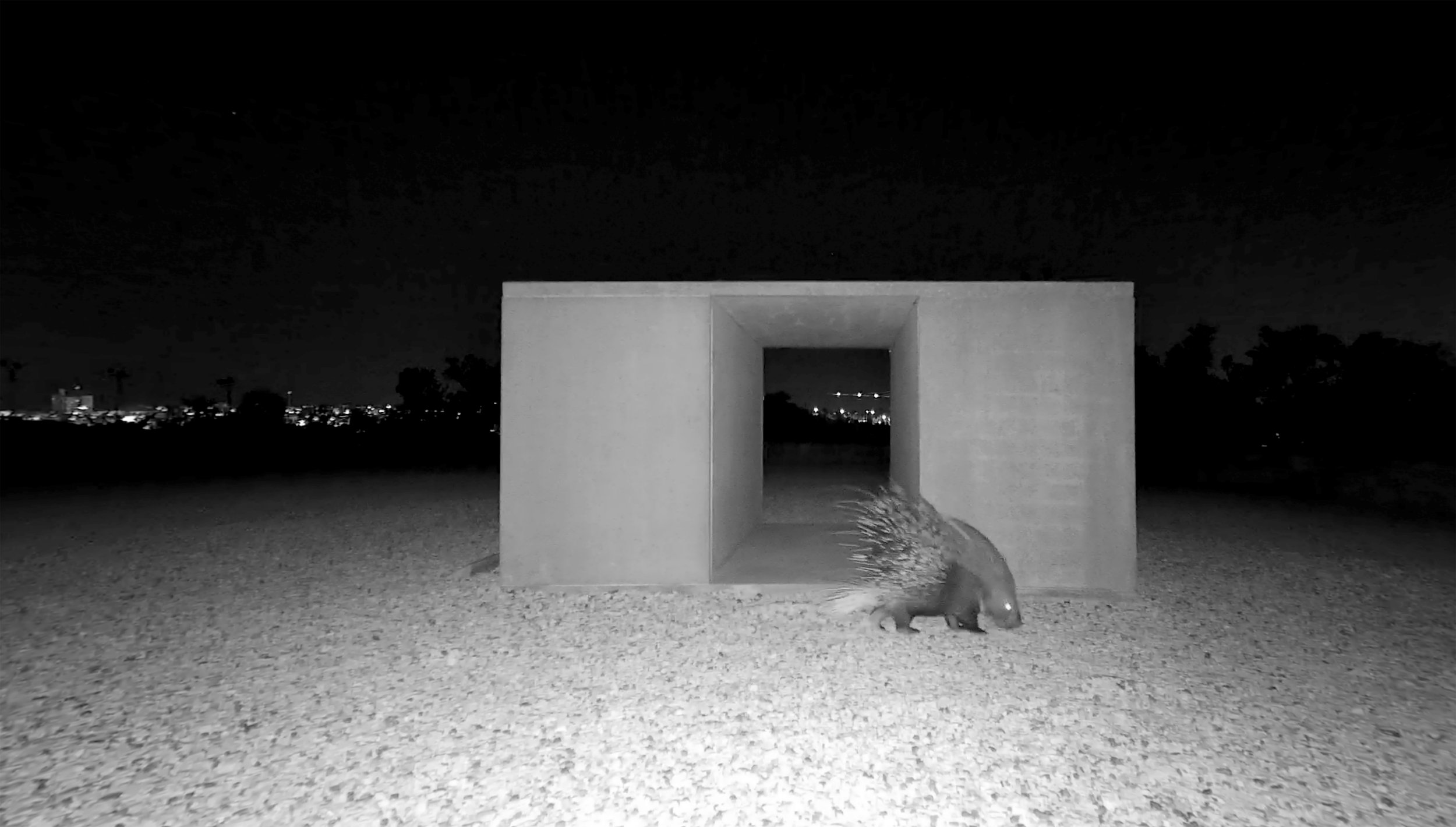 The Israel Museum, Jerusalem - The Sculpture Garden: Donald Judd