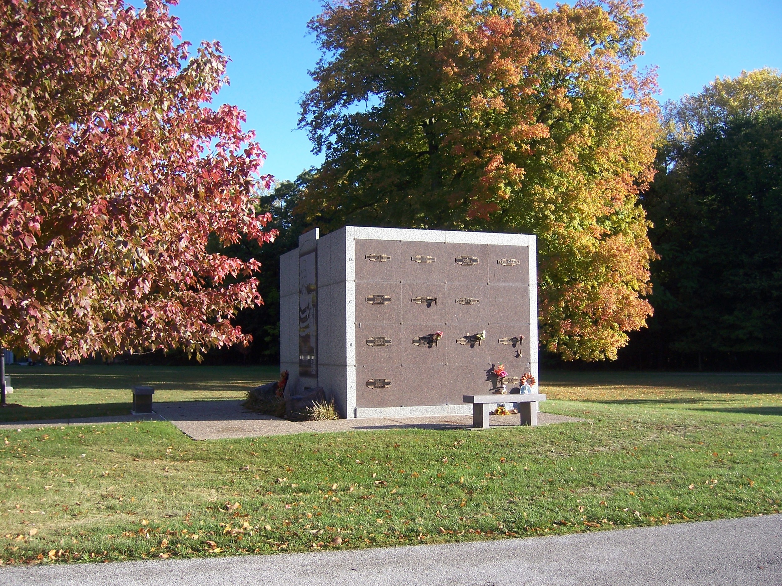 Fall color Black Hawk maus 2.JPG