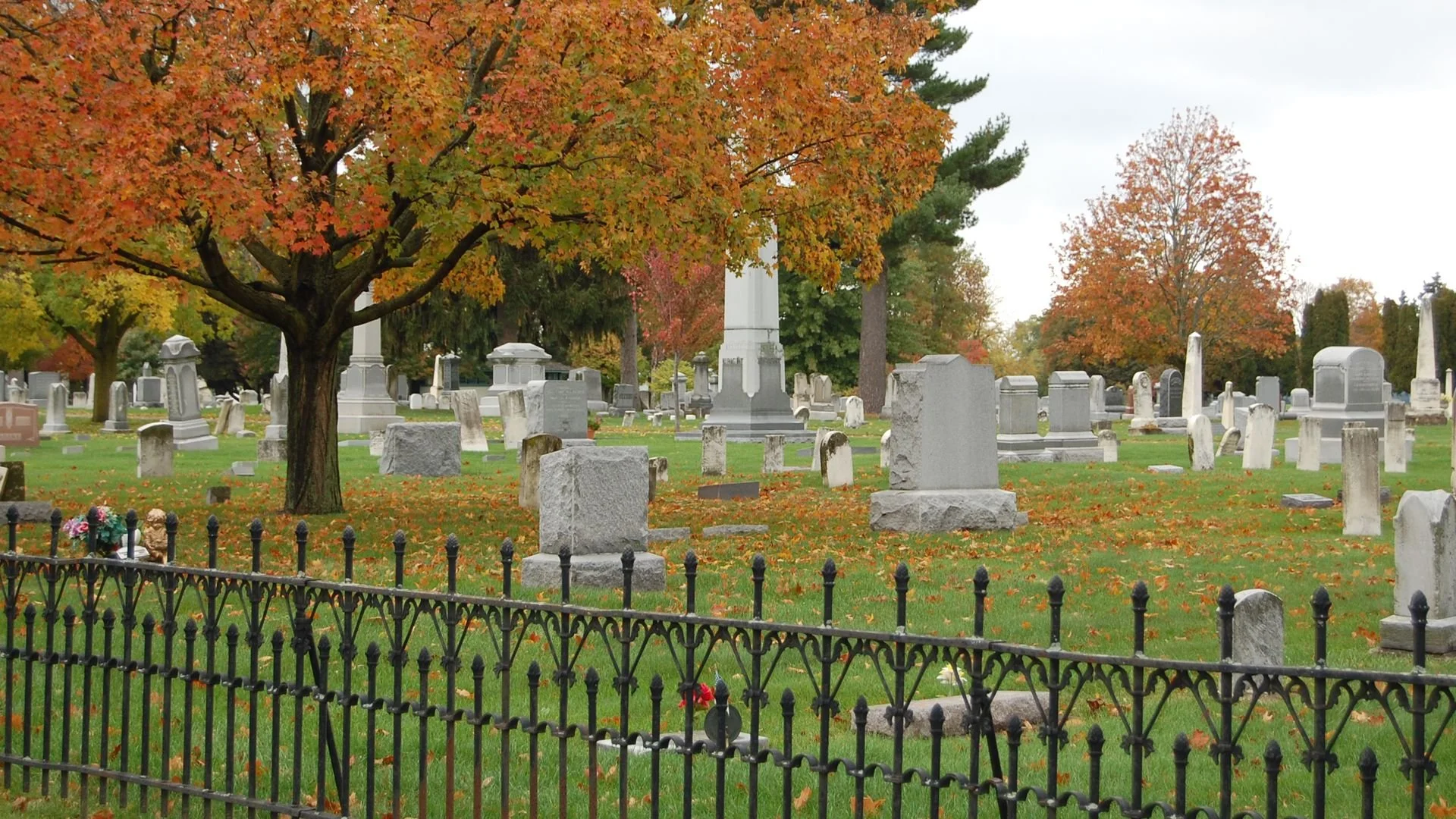 belvidere cemetery.jpeg