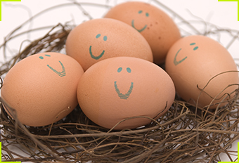 free_eggs_lead-ashx.jpg
