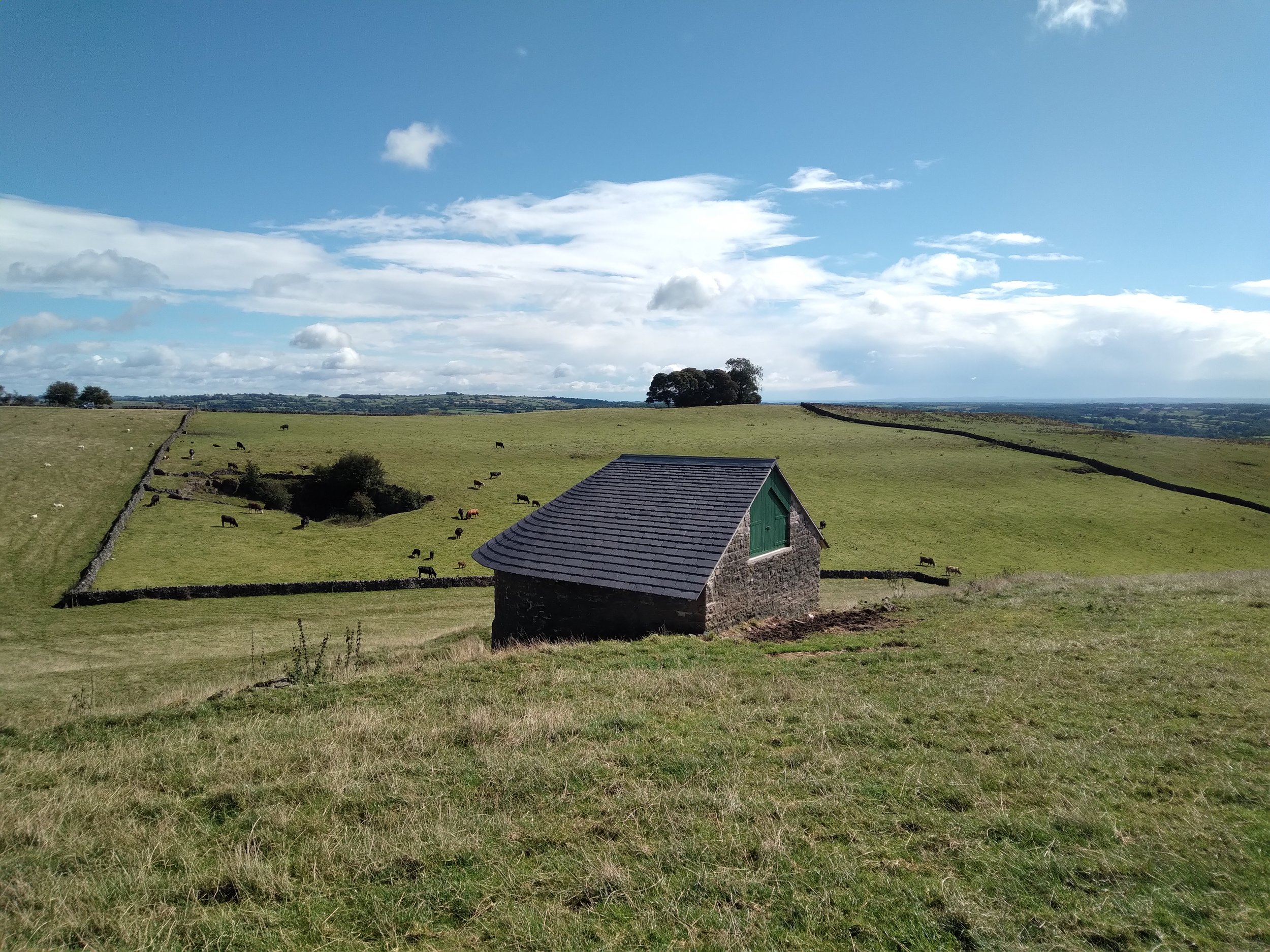 A countryside landscape with rolling green fields, a stone house with a gray tiled roof, a stone wall, grazing sheep and cows, scattered trees, and a partly cloudy sky in the background.