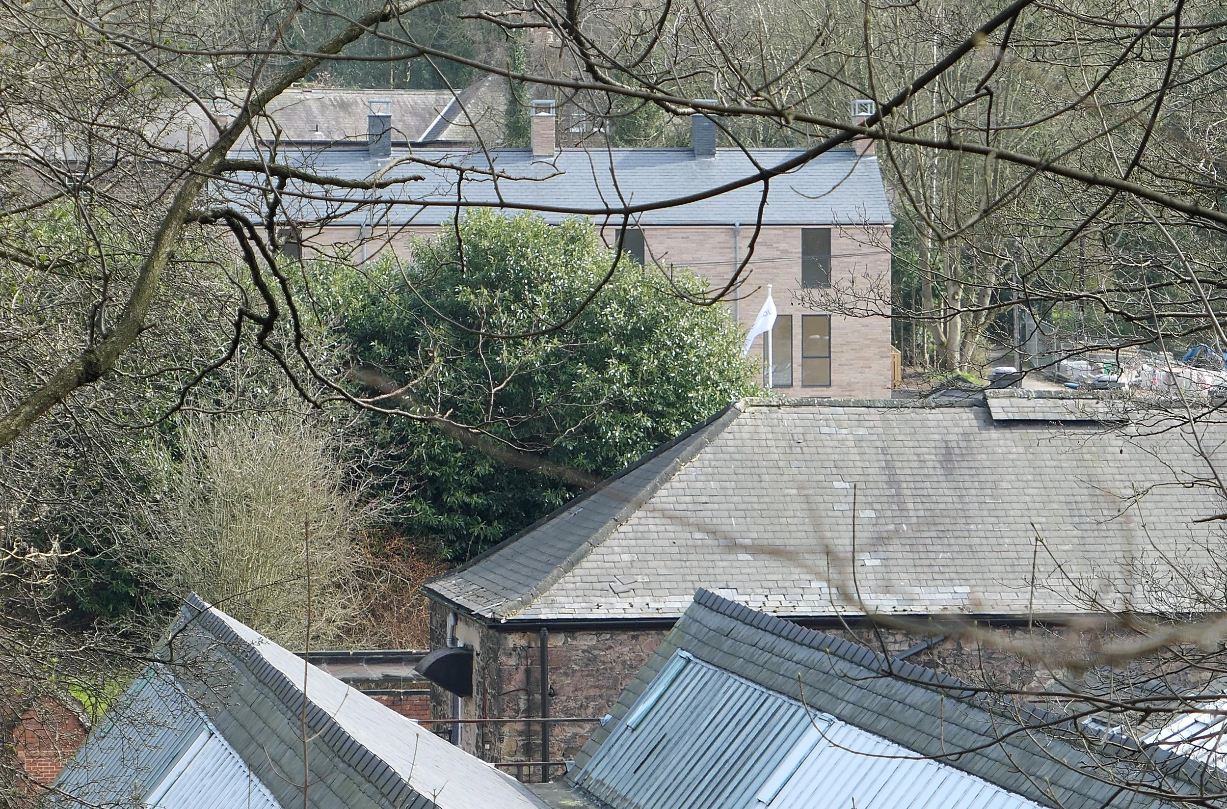 A view of rooftops with slate and metal roofing, surrounded by leafless tree branches and dense green foliage, with a residential building in the background.