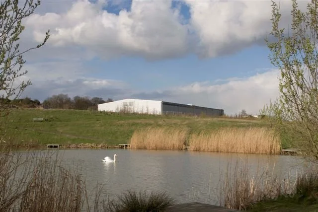 A white swan swimming in a pond with dry grasses along the edge, a grassy hill with some trees and bushes, and a large industrial building with a white and black exterior in the background under a partly cloudy sky.