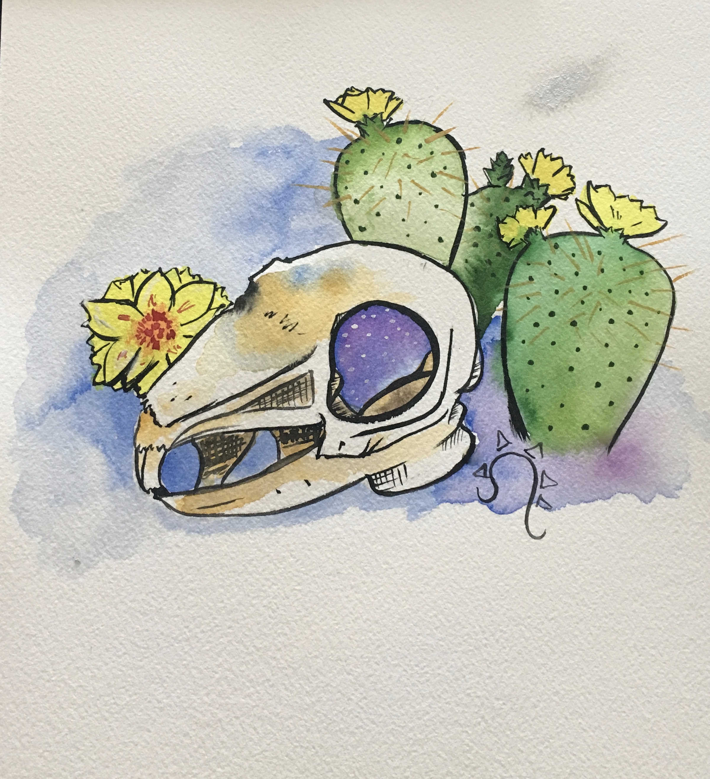 Cactus Rabbit