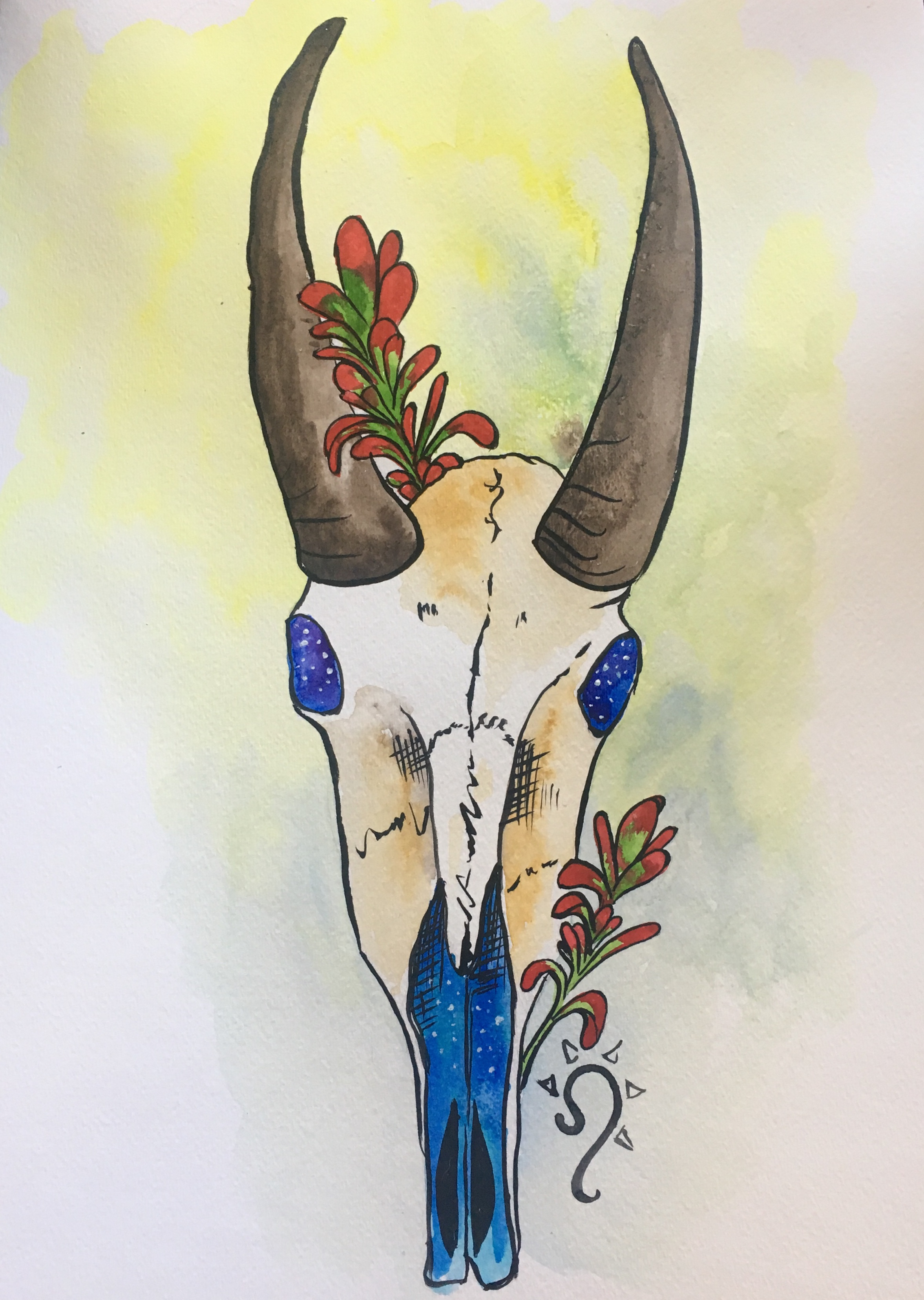 Big Horned Sheep