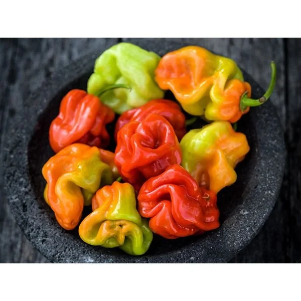 Toasty Apple &amp; Habanero Hot Sauce