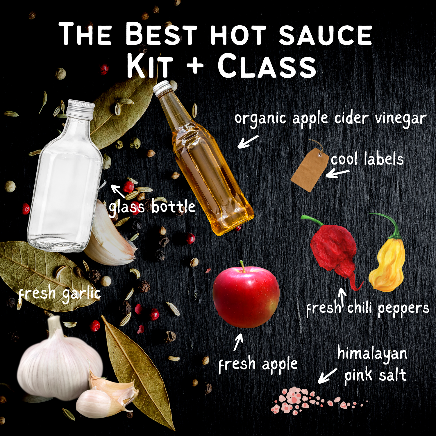 hot sauce kit and class — Anarchy in a Jar