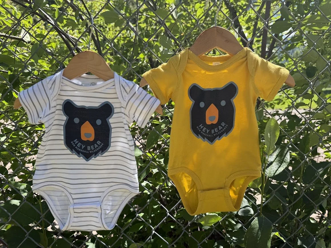 Hey Bear! Infant Onesie - New Colors!