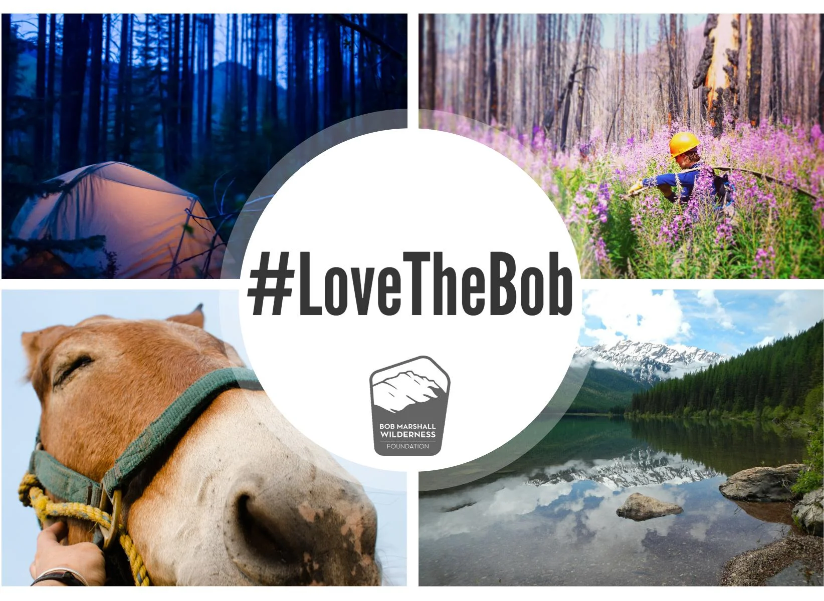 #lovethebob1 (1).jpeg