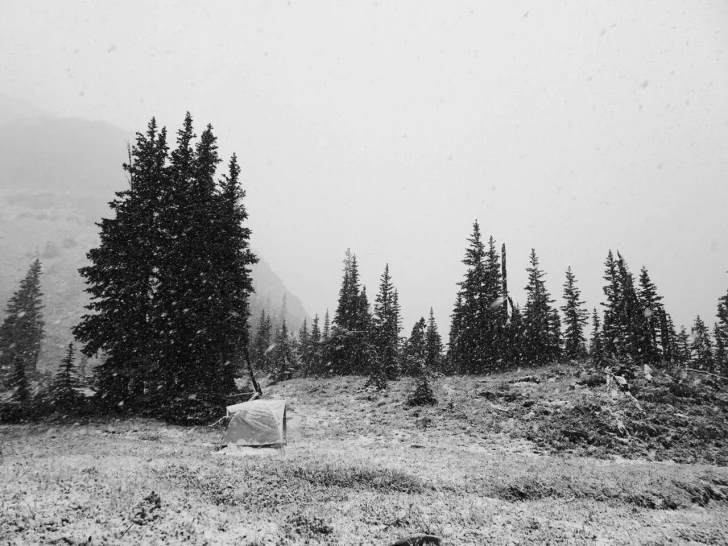 Wilderness Conservation Crew takes on Headquarters Pass